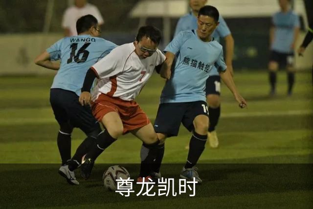 尊龙凯时公司简介图片